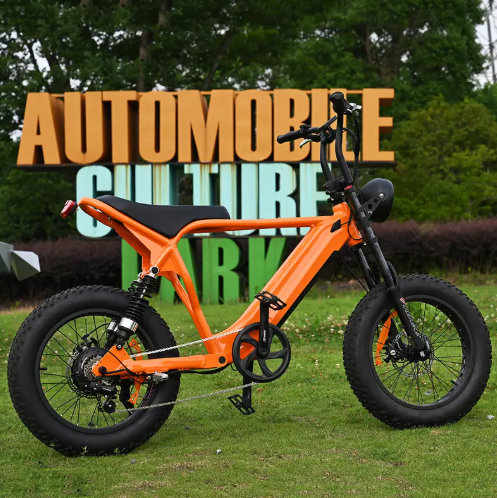 Quanto lontano può arrivare una bici elettrica da 750 W?