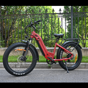 Passa attraverso il design Bike per pneumatici grassi elettrici 26 'pneumatico pollici bici elettrica a batteria singola/doppia in vendita