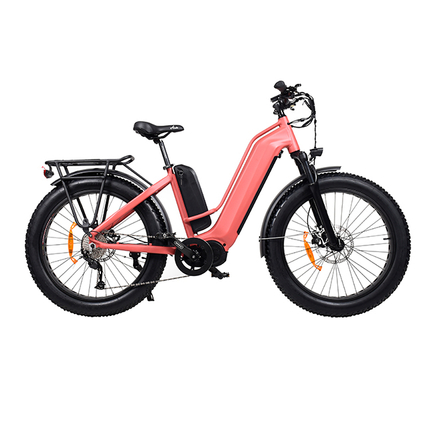 TDA26L PASSAGGI ATTUALE BIKE ELETTRICA DUPPO MOTORE