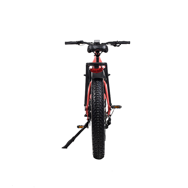 TDA26L PASSAGGI ATTUALE BIKE ELETTRICA DUPPO MOTORE