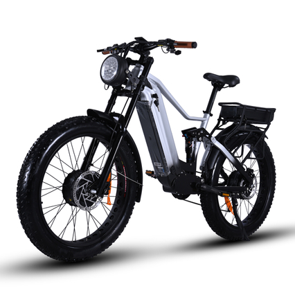 Potente motocicletta a doppia batteria a doppio motore Bike elettrico 52V 1000W+1000W Modello di pneumatico grasso per vendita