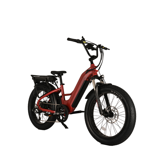 Bike elettrica a doppia batteria con mozzo posteriore Design del motore da 26 'in bici elettrica a pneumatici grassi con motore potente