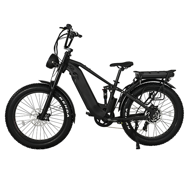 Bici elettriche a pneumatico grasso fuoristrada muti-terrestro a cinque stelle II Eletric Bike ad alta potenza