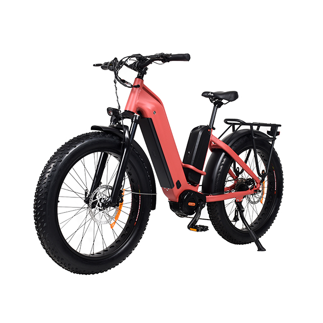 TDA26L PASSAGGI ATTUALE BIKE ELETTRICA DUPPO MOTORE