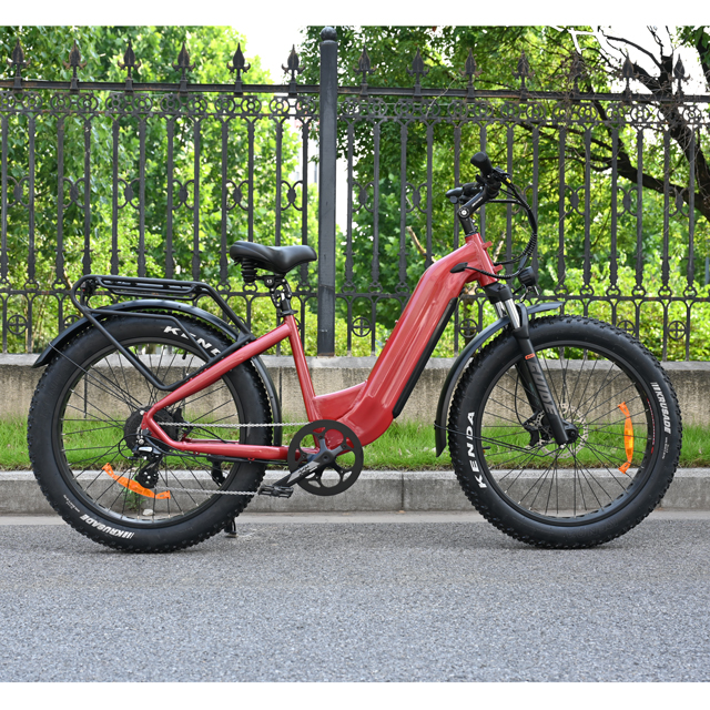 Passa attraverso il design Bike per pneumatici grassi elettrici 26 'pneumatico pollici bici elettrica a batteria singola/doppia in vendita