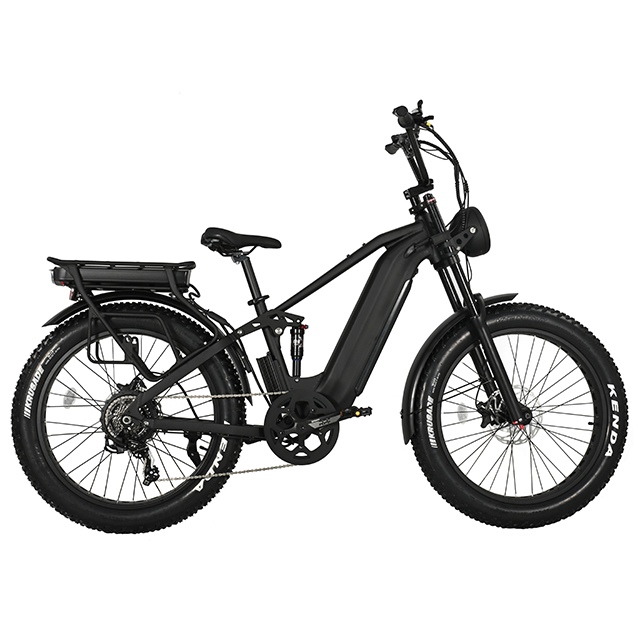 Bici elettriche a pneumatico grasso fuoristrada muti-terrestro a cinque stelle II Eletric Bike ad alta potenza