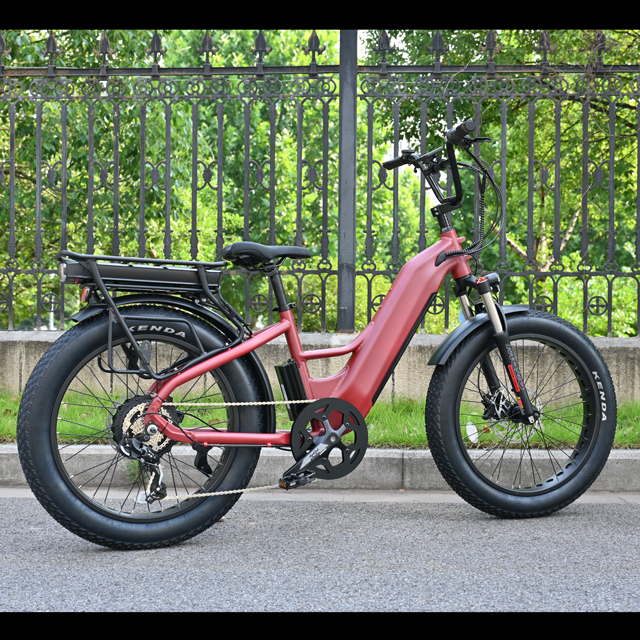 Bike elettrica a doppia batteria con mozzo posteriore Design del motore da 26 'in bici elettrica a pneumatici grassi con motore potente