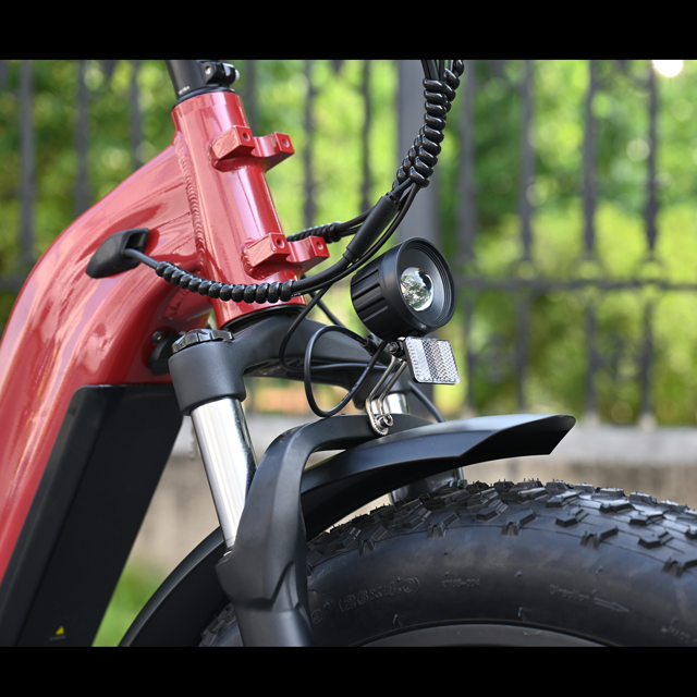Passa attraverso il design Bike per pneumatici grassi elettrici 26 'pneumatico pollici bici elettrica a batteria singola/doppia in vendita
