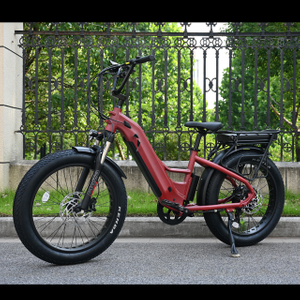 Bike elettrica a doppia batteria con mozzo posteriore Design del motore da 26 'in bici elettrica a pneumatici grassi con motore potente