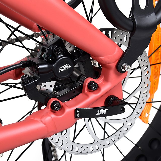 TDA26L PASSAGGI ATTUALE BIKE ELETTRICA DUPPO MOTORE