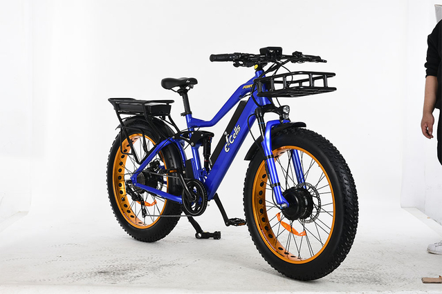 E-CELLS SUPER MONARCH AWD 700 1000 WATT