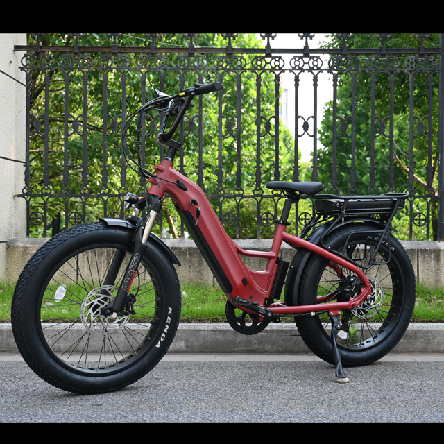 Bike elettrica a doppia batteria con mozzo posteriore Design del motore da 26 'in bici elettrica a pneumatici grassi con motore potente