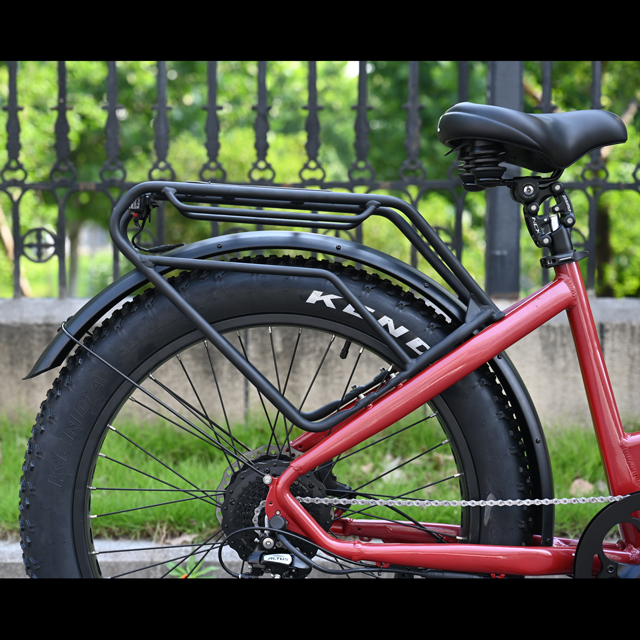 Passa attraverso il design Bike per pneumatici grassi elettrici 26 'pneumatico pollici bici elettrica a batteria singola/doppia in vendita