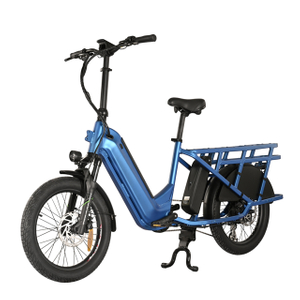 Nuova bici da carico con batteria a tubo in giù nascosto da 20 'pollici di pneumatico grasso