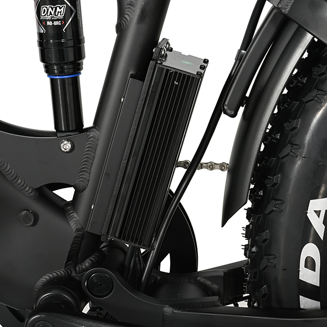 Bici elettriche a pneumatico grasso fuoristrada muti-terrestro a cinque stelle II Eletric Bike ad alta potenza