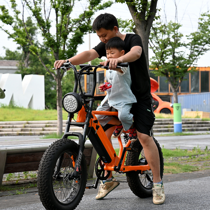 Bike a motore del mozzo posteriore con forcella sospensione a doppia corona da 20 'pollici con bici elettrica a sedile lungo