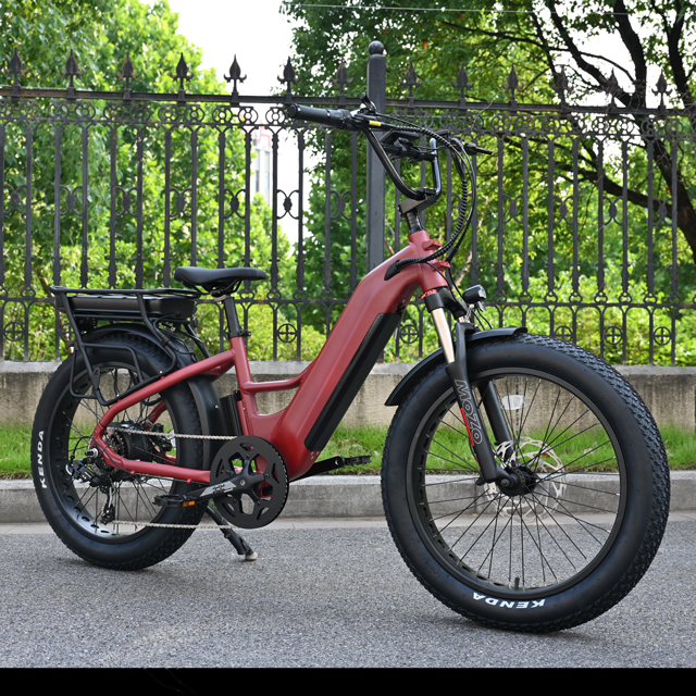Bike elettrica a doppia batteria con mozzo posteriore Design del motore da 26 'in bici elettrica a pneumatici grassi con motore potente