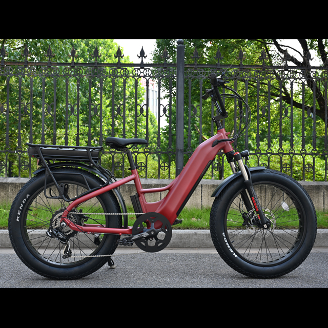 Bike elettrica a doppia batteria con mozzo posteriore Design del motore da 26 'in bici elettrica a pneumatici grassi con motore potente