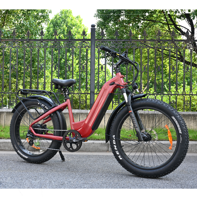 Passa attraverso il design Bike per pneumatici grassi elettrici 26 'pneumatico pollici bici elettrica a batteria singola/doppia in vendita