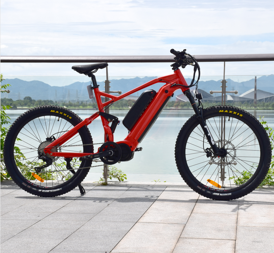 Bike a motore a medio trasmissione MTB a doppia batteria MTB potente mountain bici elettrica di montagna