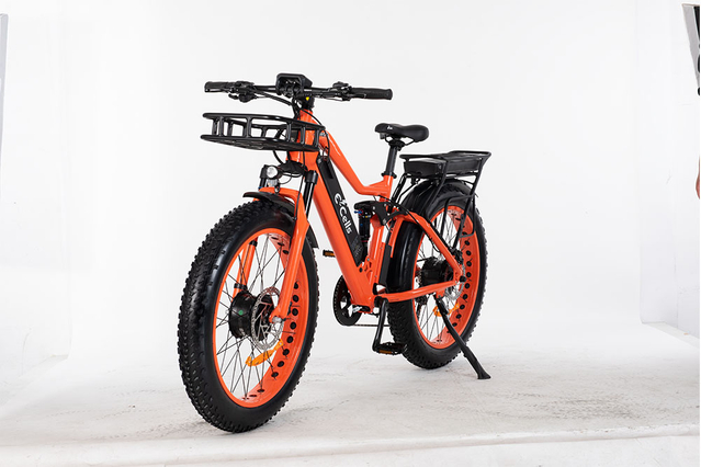 E-CELLS SUPER MONARCH AWD 700 1000 WATT